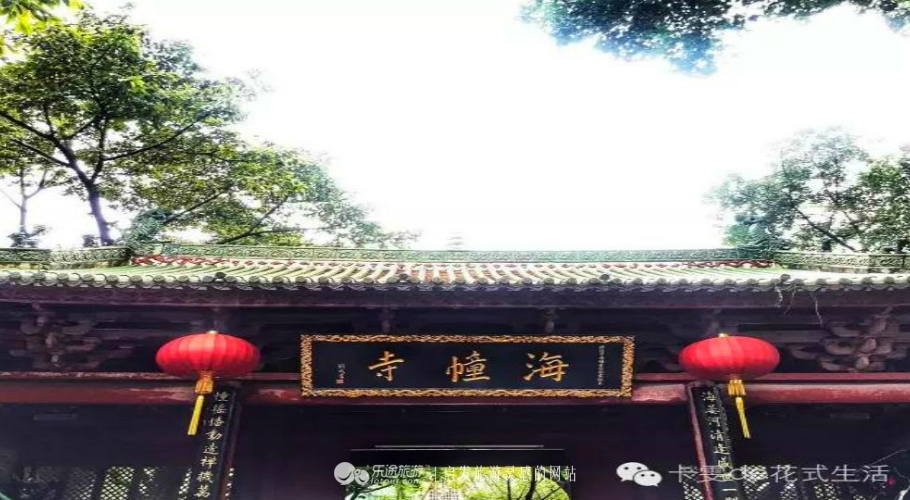 从街边小店到日本,广州最正宗的啫啫煲