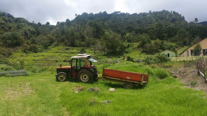 留尼汪有什么,留尼汪英文怎么读