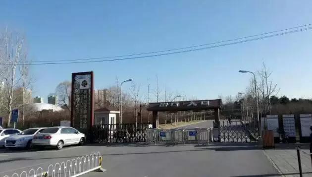 find测评,discovery足球鞋好吗