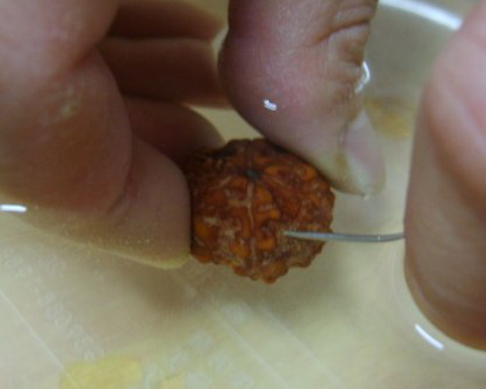 进来教你，怎么清洗金刚