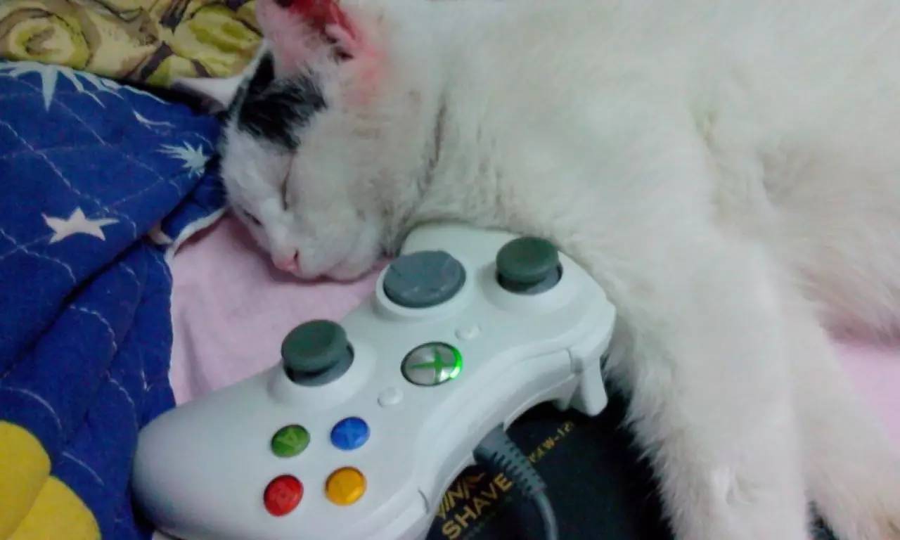 福利贴︱中国科技馆里的高考元素