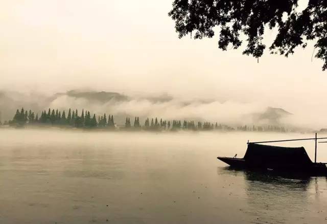 东南第一山私藏浙南最美的风情,浙江山林美宿攻略