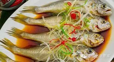 清蒸鱼哪种鱼好吃又营养,清蒸比较好吃营养少刺的鱼