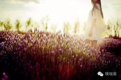 噗嗤故事|女性被侵后应该怎么做？