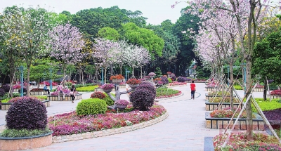 禅城森林,佛山森林城规划图