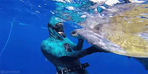 吃个饭感觉去了新加坡，在佛山我只服星州大椰！