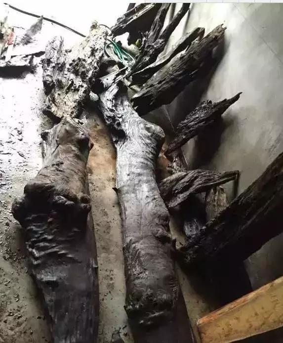 老宅发现100年前乌木,江西小山村挖出价值1亿的乌木