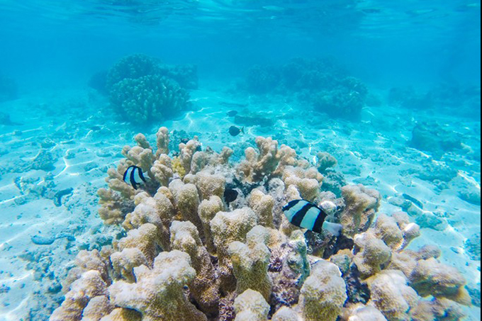 塞班岛旅游攻略自由行攻略,塞班岛自由行游玩攻略