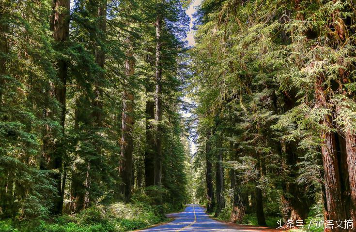 佛语相爱的人注定无缘,注定相遇注定无缘