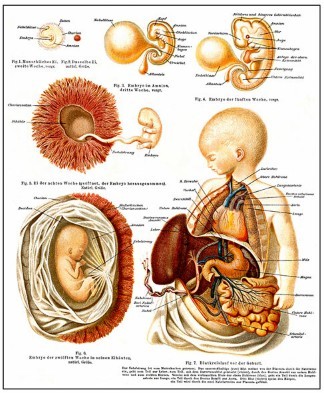 有关羊水的重要性的科普视频,辨别羊水最简单的方法