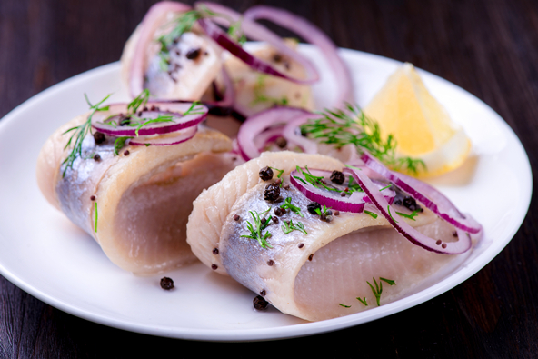 餐桌物种日历|4月20日大西洋鲱