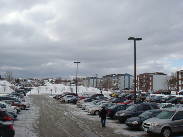 魁北克大学介绍，算是给要去留学的同学一点帮助吧