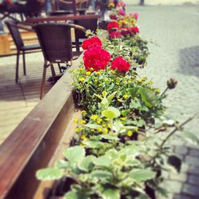 游伏尔塔瓦河,布拉格伏尔塔瓦河乘船游