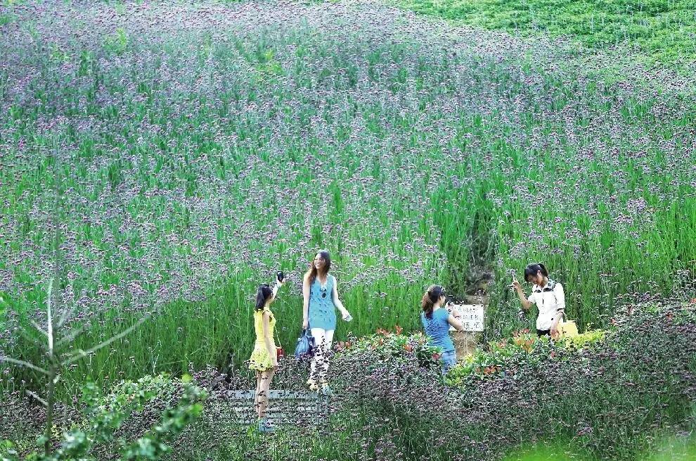 在家就能环游世界？一口唾液就能测出患病概率？贵州绿博会上都能体验，最后一天抓紧去逛逛