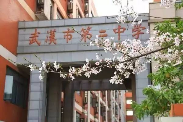 湖北省各高中2020高考喜报,湖北考试晒分数