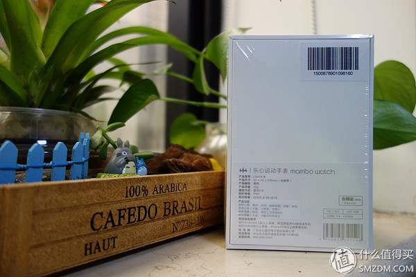 乐心智能手表,乐心手表watch怎么样