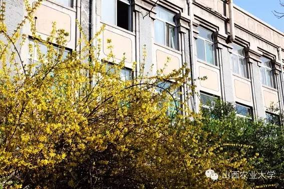 在山西农业大学有哪些学院呢？学院又是如何规划的呢?戳图文查看