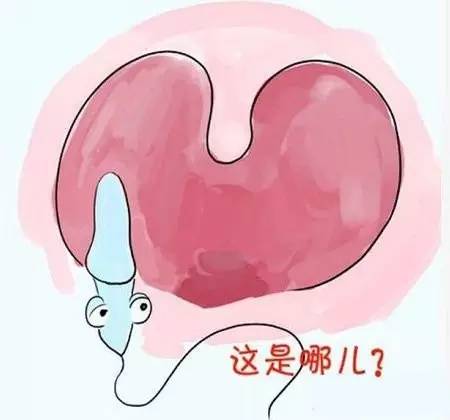 小蝌蚪死了该怎么救活,小蝌蚪的死因