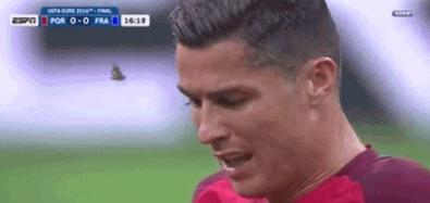 广州海珠区足球,海珠欧洲杯