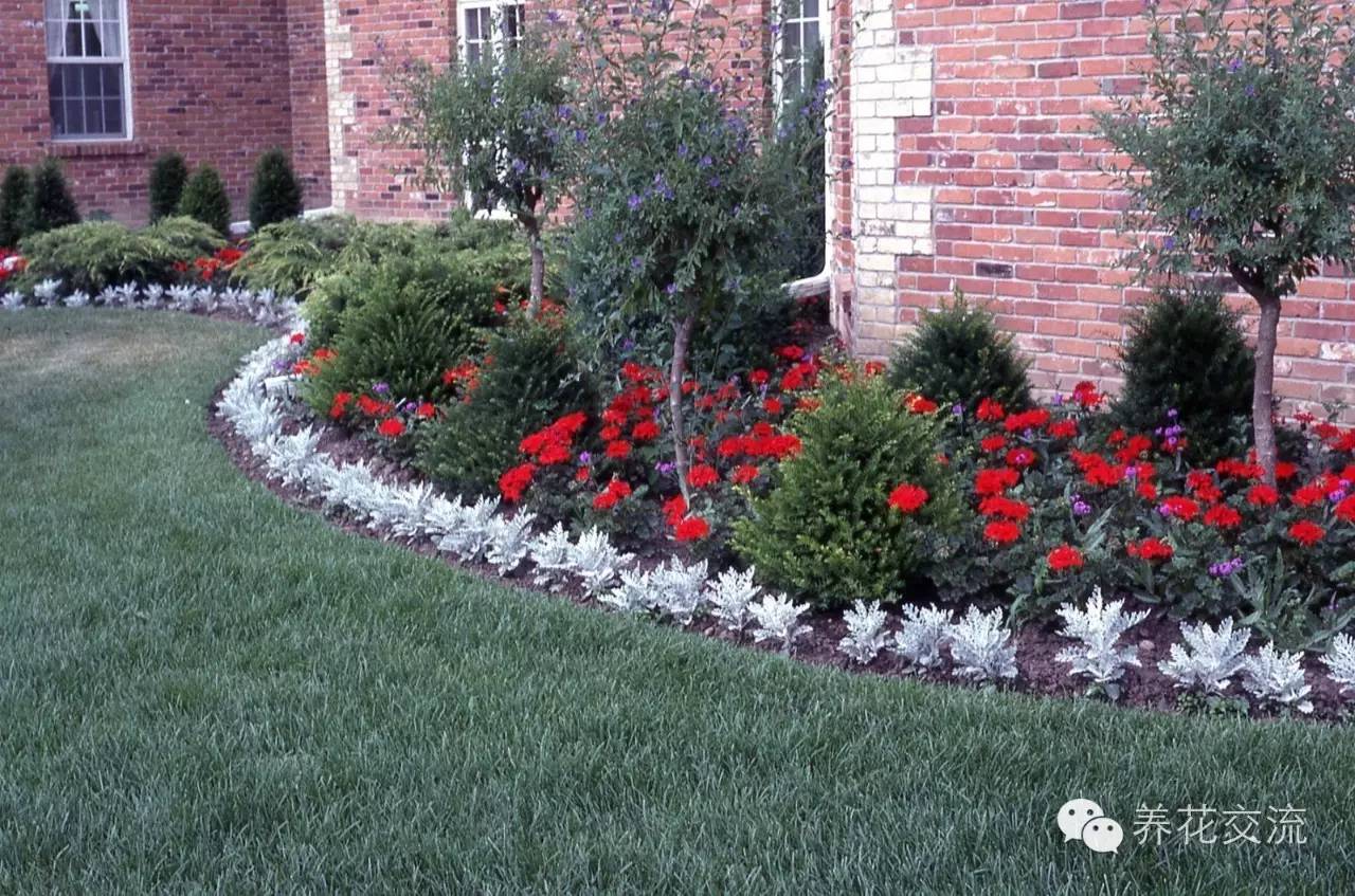 20种一二年生花卉,22种花朵
