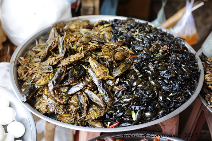 柬埔寨必去景点推荐,柬埔寨旅游必去的九大绝佳景点