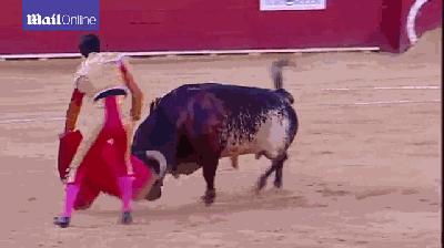 斗牛士被公牛刺穿下颚,斗牛士被公牛打死