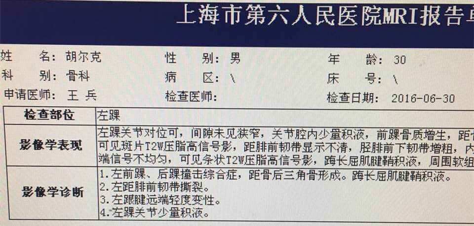 胡尔克转会上港,胡尔克受伤