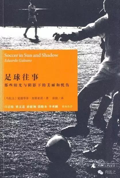 欧洲杯最新足球情况,欧洲杯大战在即