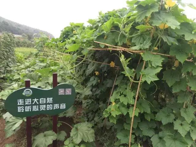 为什么淮南人喜欢当“地主”，看看地主如何管理地的！