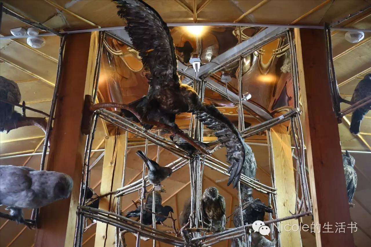 中蒙俄茶叶之路|走近多彩的俄罗斯