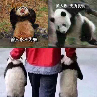 游戏厂商如何应对外挂,各游戏对外挂的处理