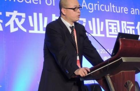 一年卖10万吨，市值达107亿，这家卖金针菇公司仅靠这5招