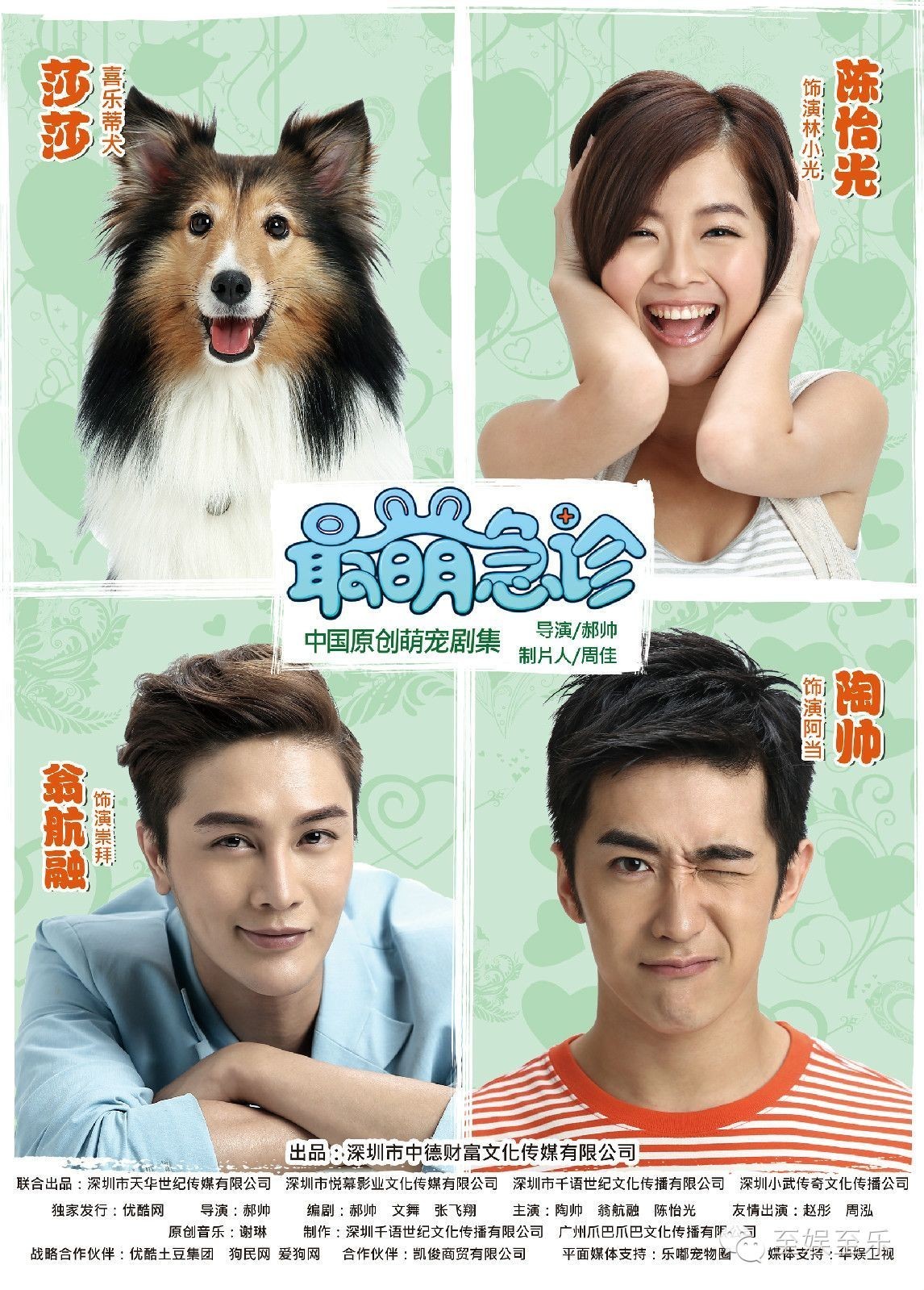 前方萌宠来袭！这些大陆宠物剧你都看过吗？