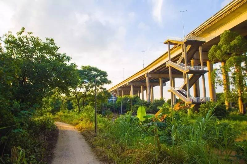 顺德农庄美食推荐,顺德有哪些好吃的山上农庄