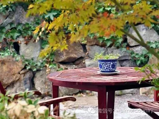 游西湖有什么民宿推荐,西湖边最美民宿推荐