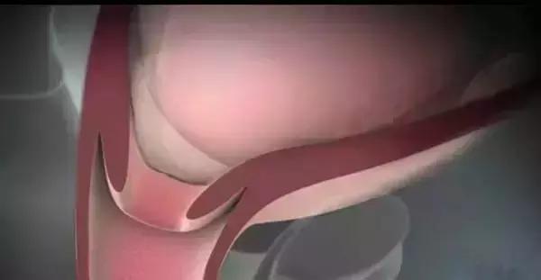 顺产分娩全过程想顺产的你一定想知道！