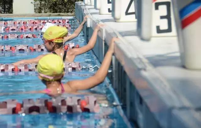 2019浩沙杯青少年游泳冠军赛,第六届厦金青少年游泳大赛