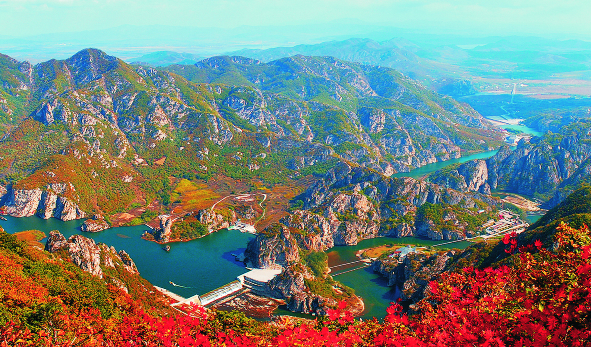 珍稀水源地,大连野生珍稀植物