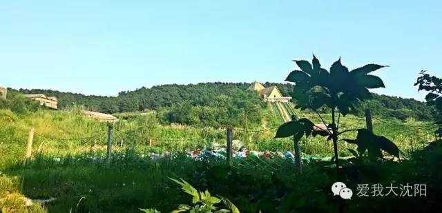 沈阳夏日避暑攻略,沈阳周边夏季避暑旅游胜地