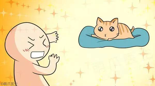 小奶猫用奶粉新手如何喂,怎么教新手猫喂奶