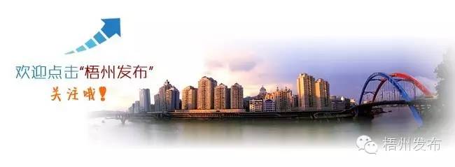 欧洲杯足球赛程时间表最新版,欧洲杯足球比赛时间表安排