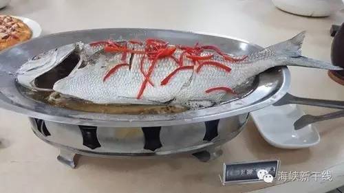 民代登岛、渔民护土，蔡英文在干什么？