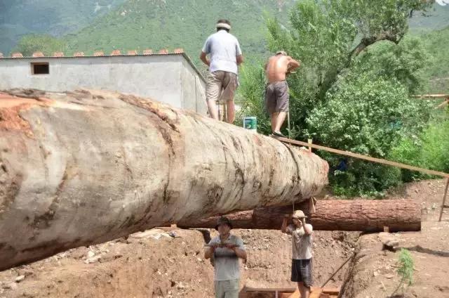 2016年最新株洲15大怪,每一句都扎心啊!