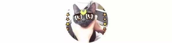 男朋友送我的礼物在我看来很贵,男朋友送的礼物吓人