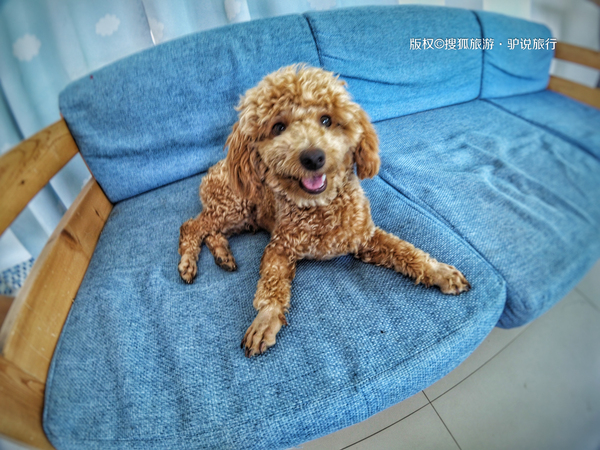 国内绝美海岛北海涠洲岛,中国十大最美海岛涠洲岛