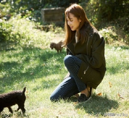 不一样的儿童狗狗,不一样的可爱的小狗狗