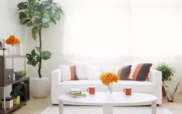 宁波购物节2023,鄞州区消费购车节