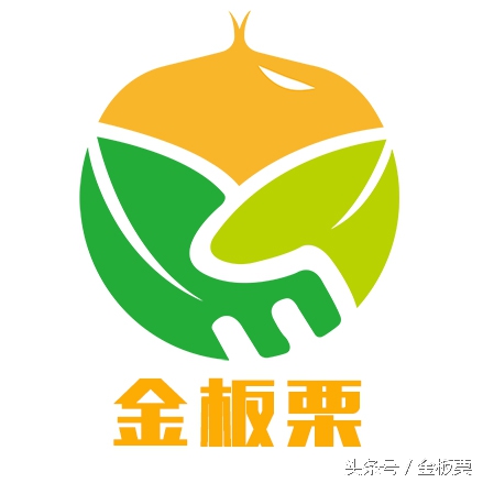 金板栗网商家招商,金栗网络科技有限公司