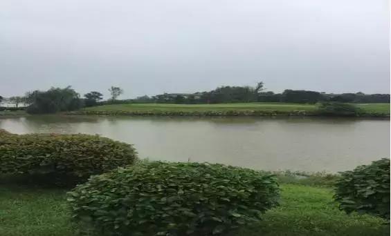 卧龙湖旅游攻略,卧龙山游记600字