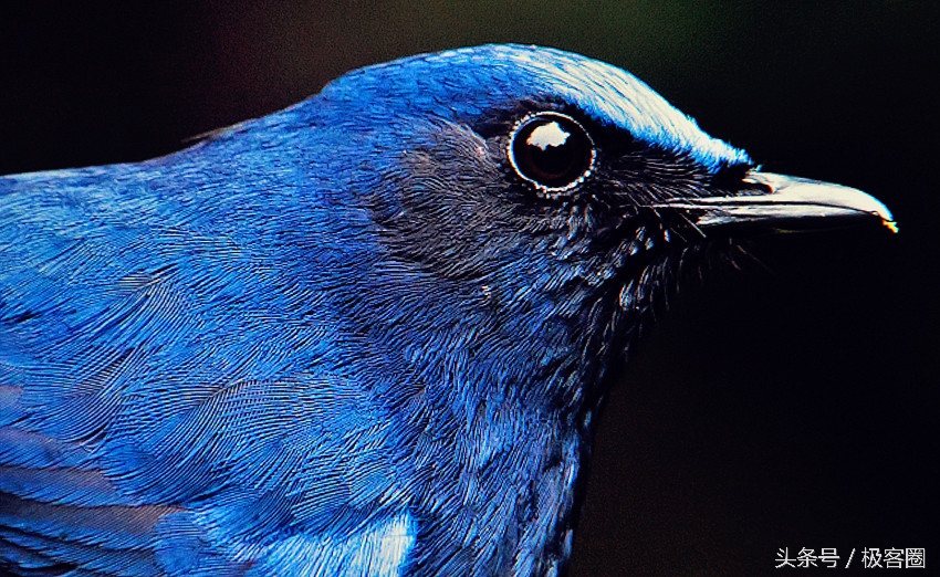 推荐几款设计用的显示器,入门级设计类显示器